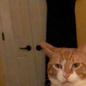 Meet your Posher, Jack